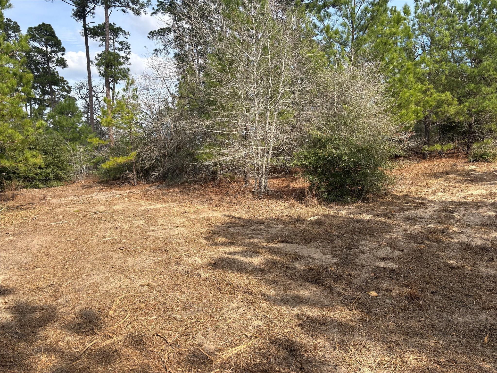 187 K C Dr, Bastrop, TX 78602