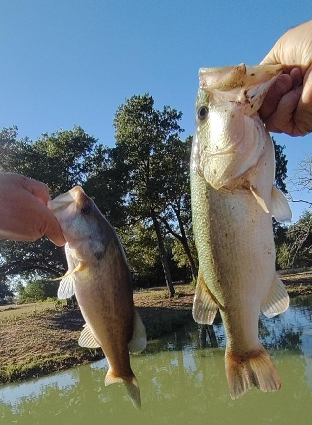 251 Fairview Dr, Rockdale, TX 76567