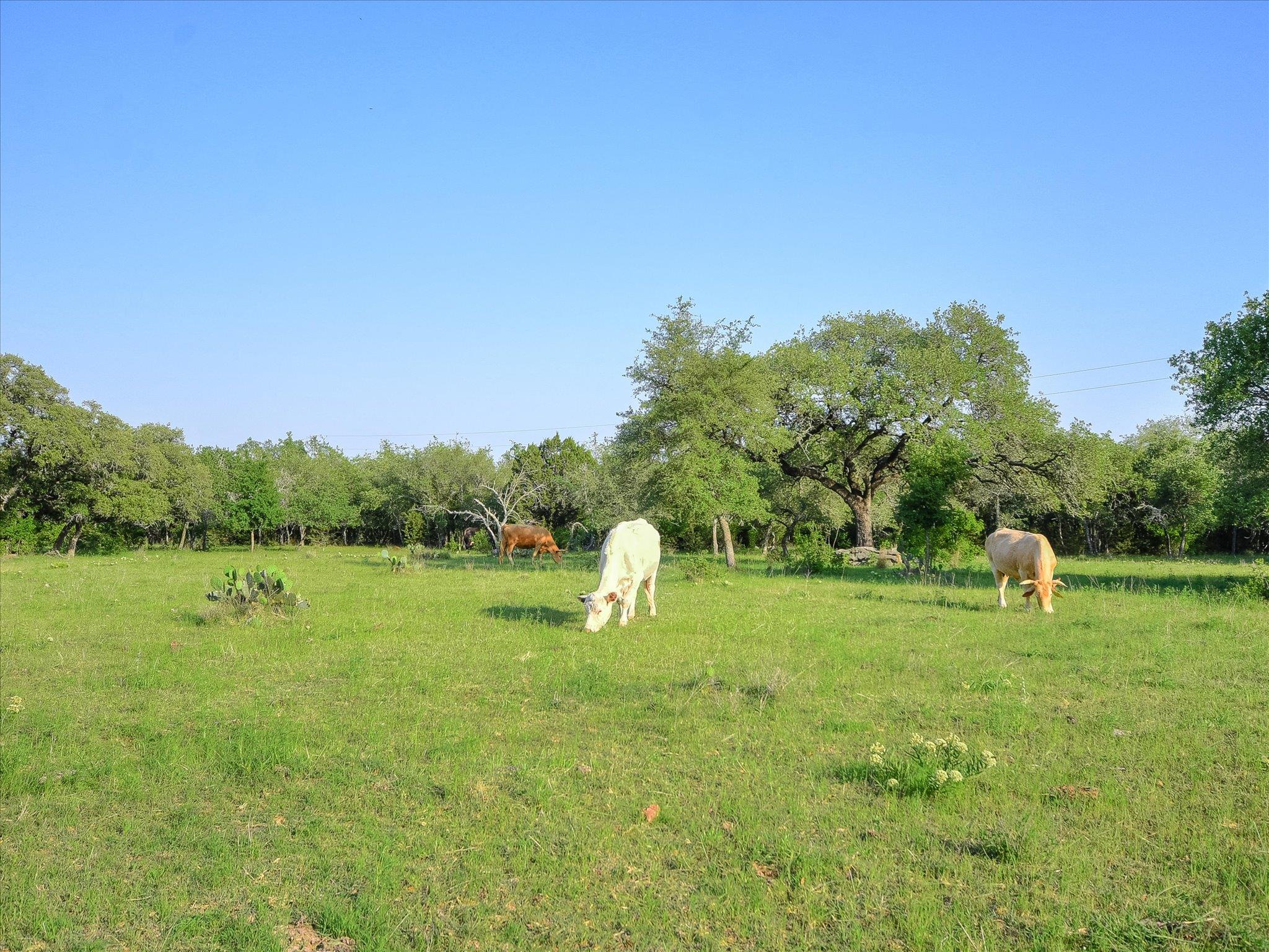 1050 River Mountain Rd # A, Wimberley, TX 78676