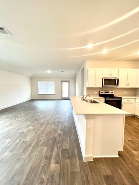 803 Pease River Way, Hutto, TX 78634