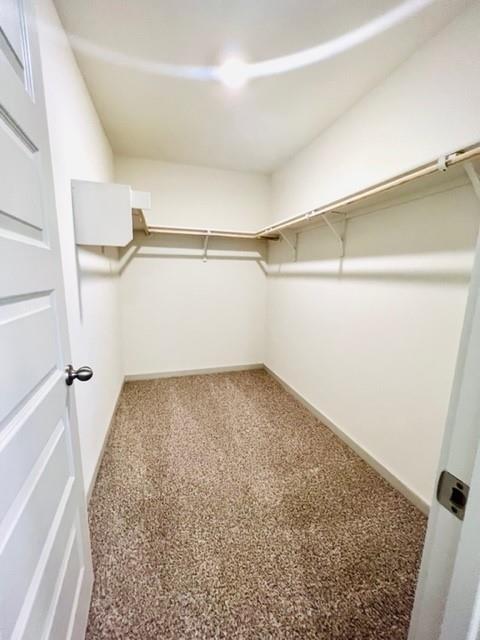 803 Pease River Way, Hutto, TX 78634