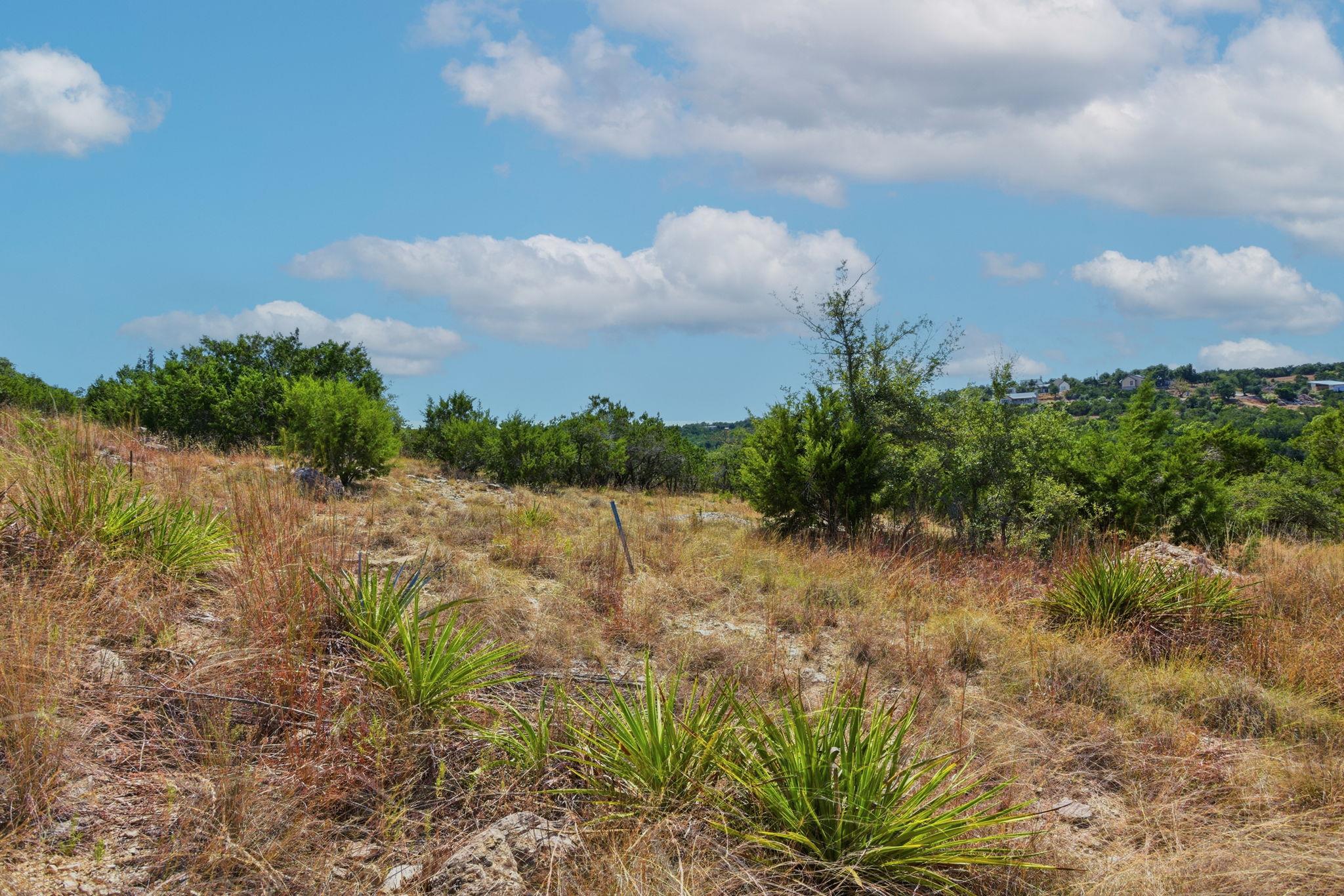 529 Julieanne Cv, Dripping Springs, TX 78620