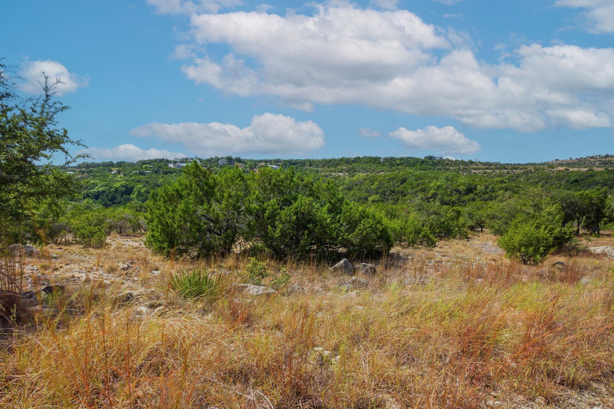 529 Julieanne Cv, Dripping Springs, TX 78620