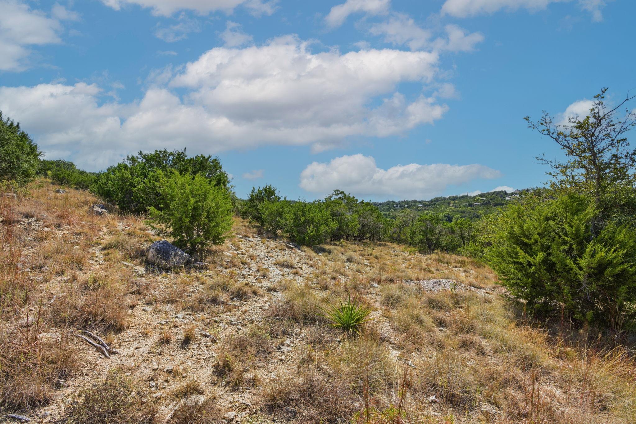 529 Julieanne Cv, Dripping Springs, TX 78620