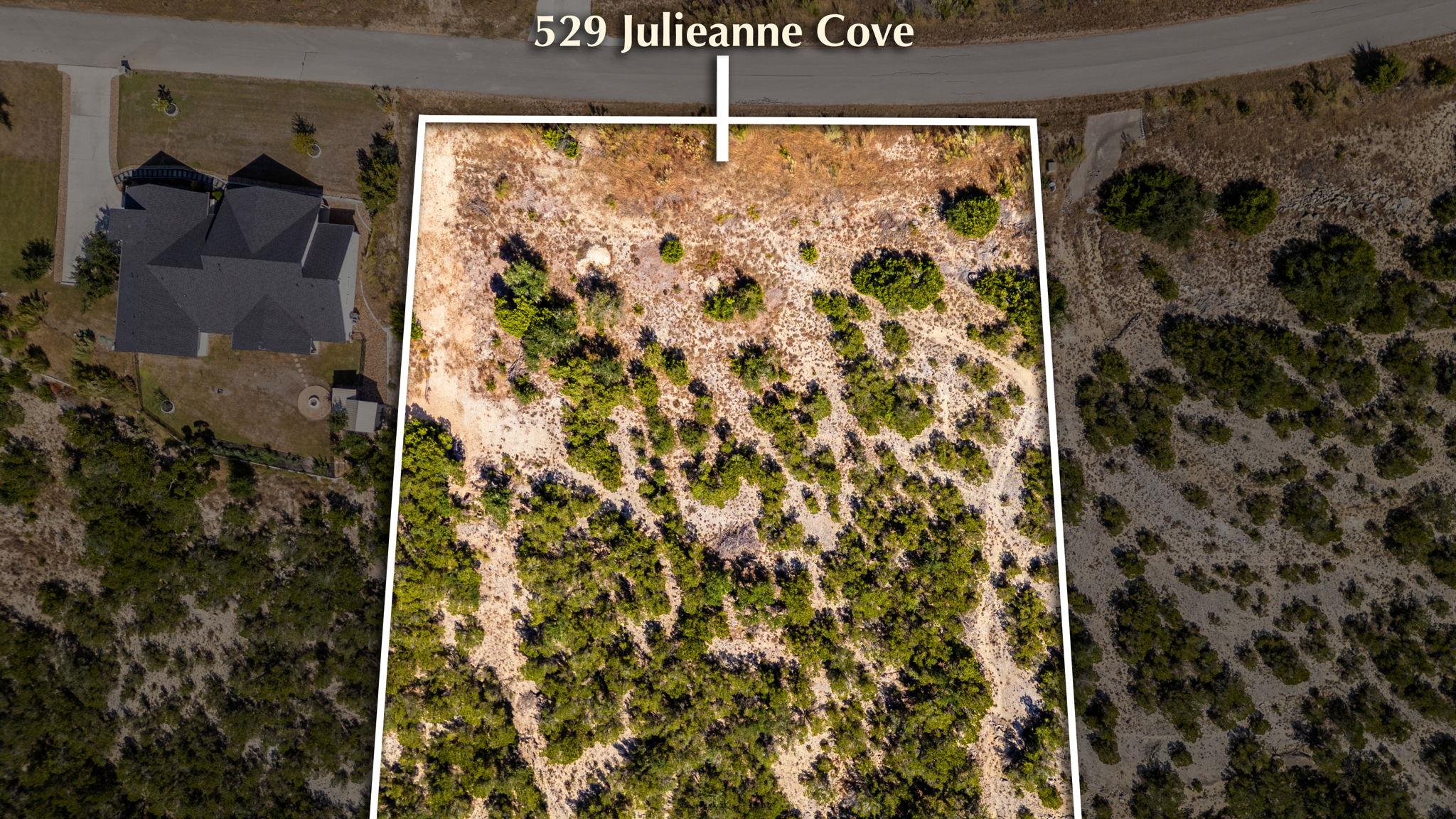 529 Julieanne Cv, Dripping Springs, TX 78620