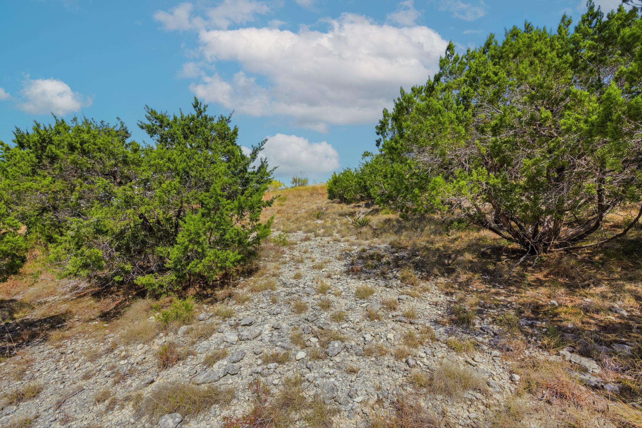 529 Julieanne Cv, Dripping Springs, TX 78620