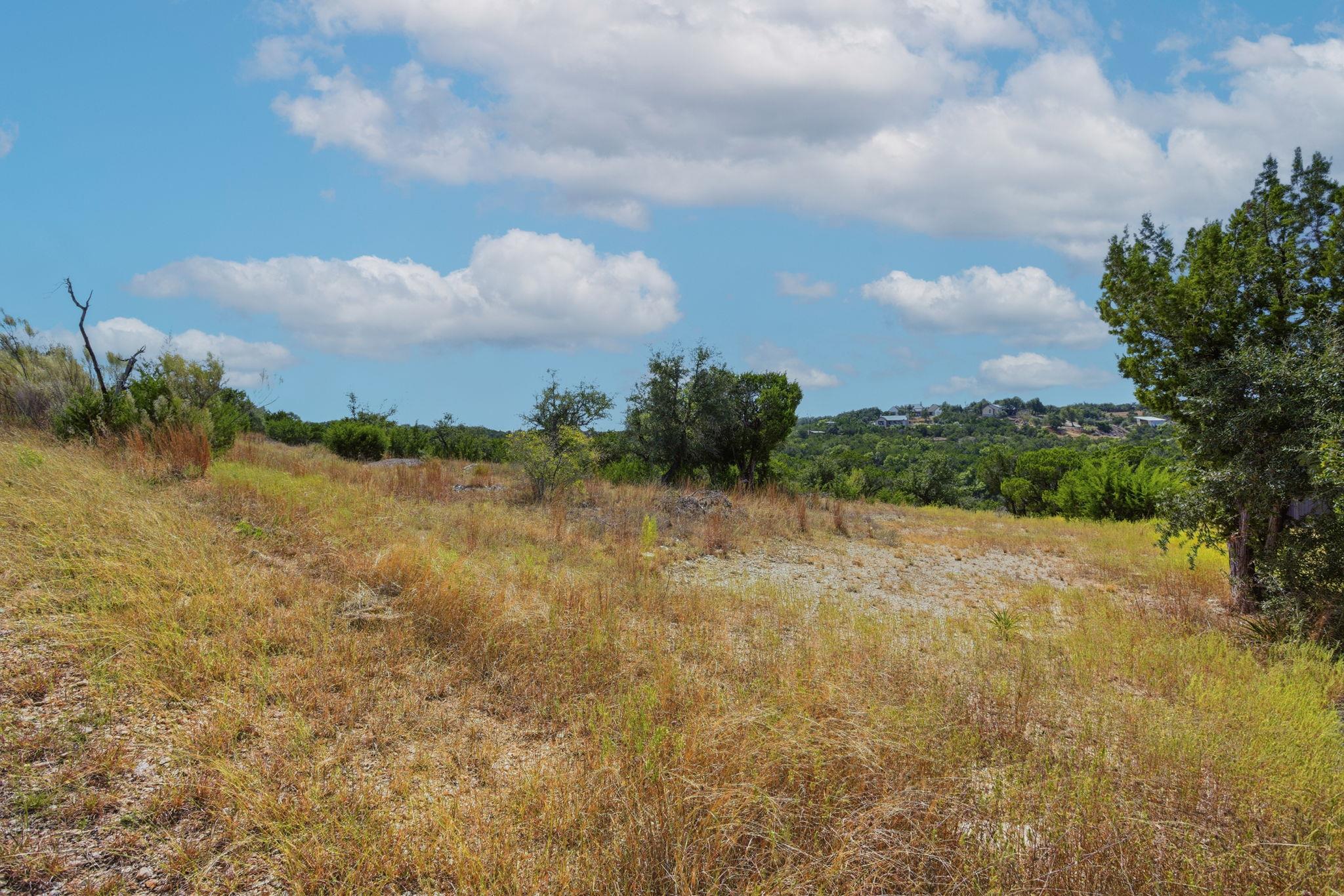 529 Julieanne Cv, Dripping Springs, TX 78620