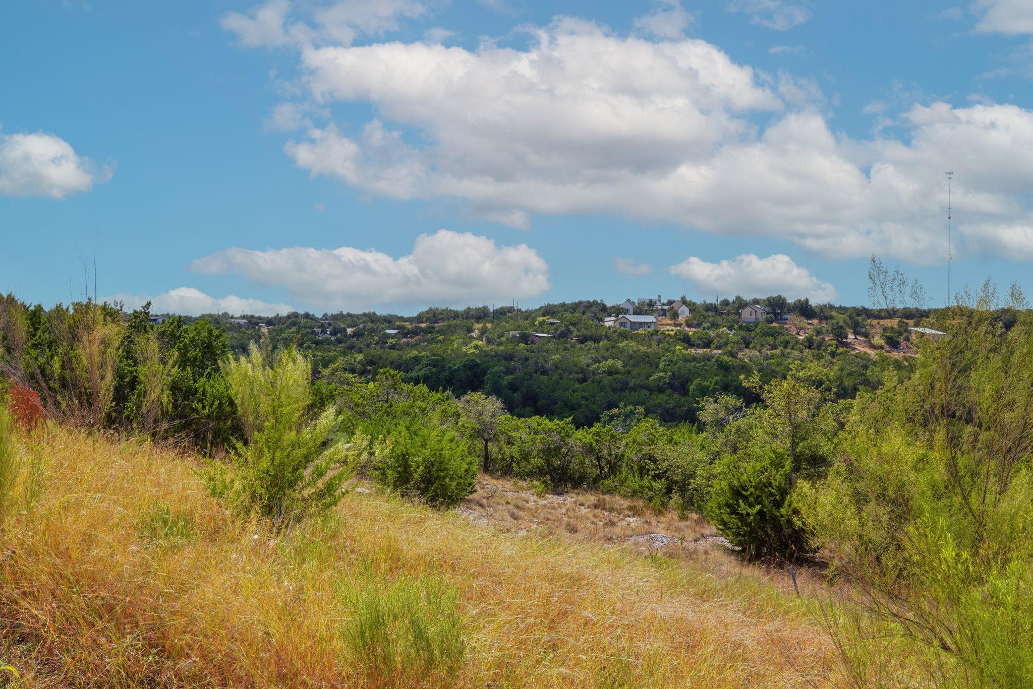 529 Julieanne Cv, Dripping Springs, TX 78620