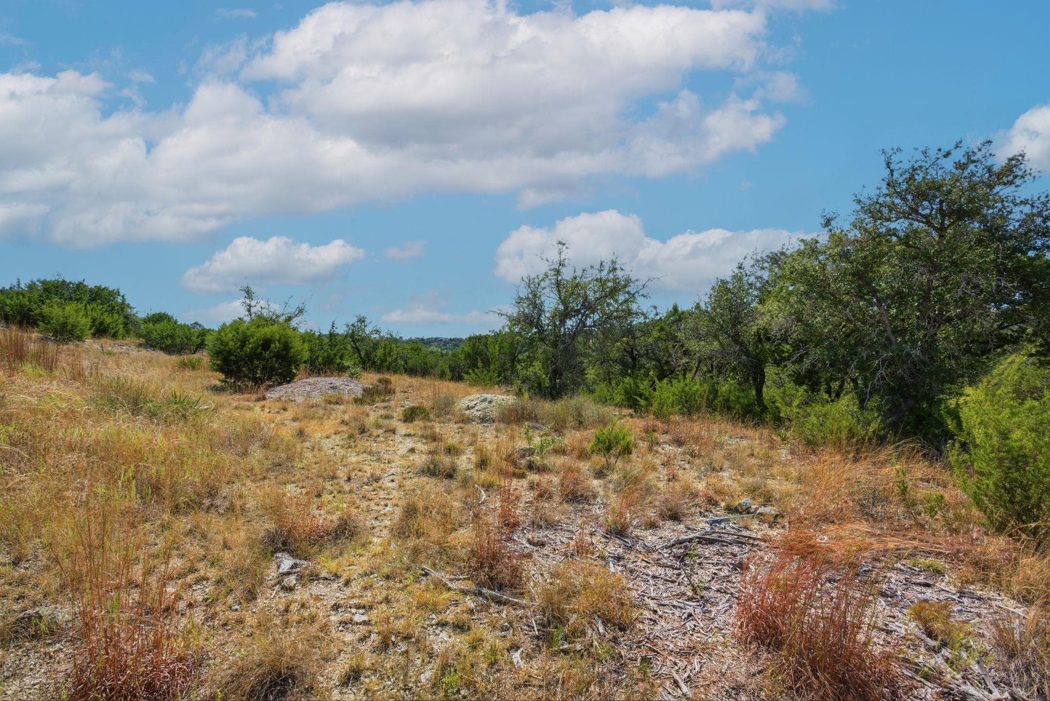 529 Julieanne Cv, Dripping Springs, TX 78620