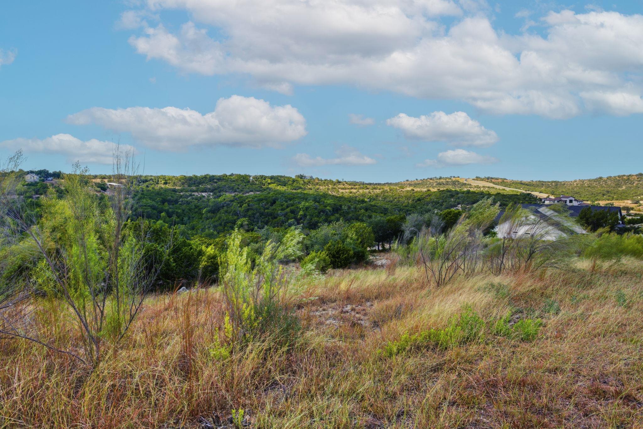529 Julieanne Cv, Dripping Springs, TX 78620