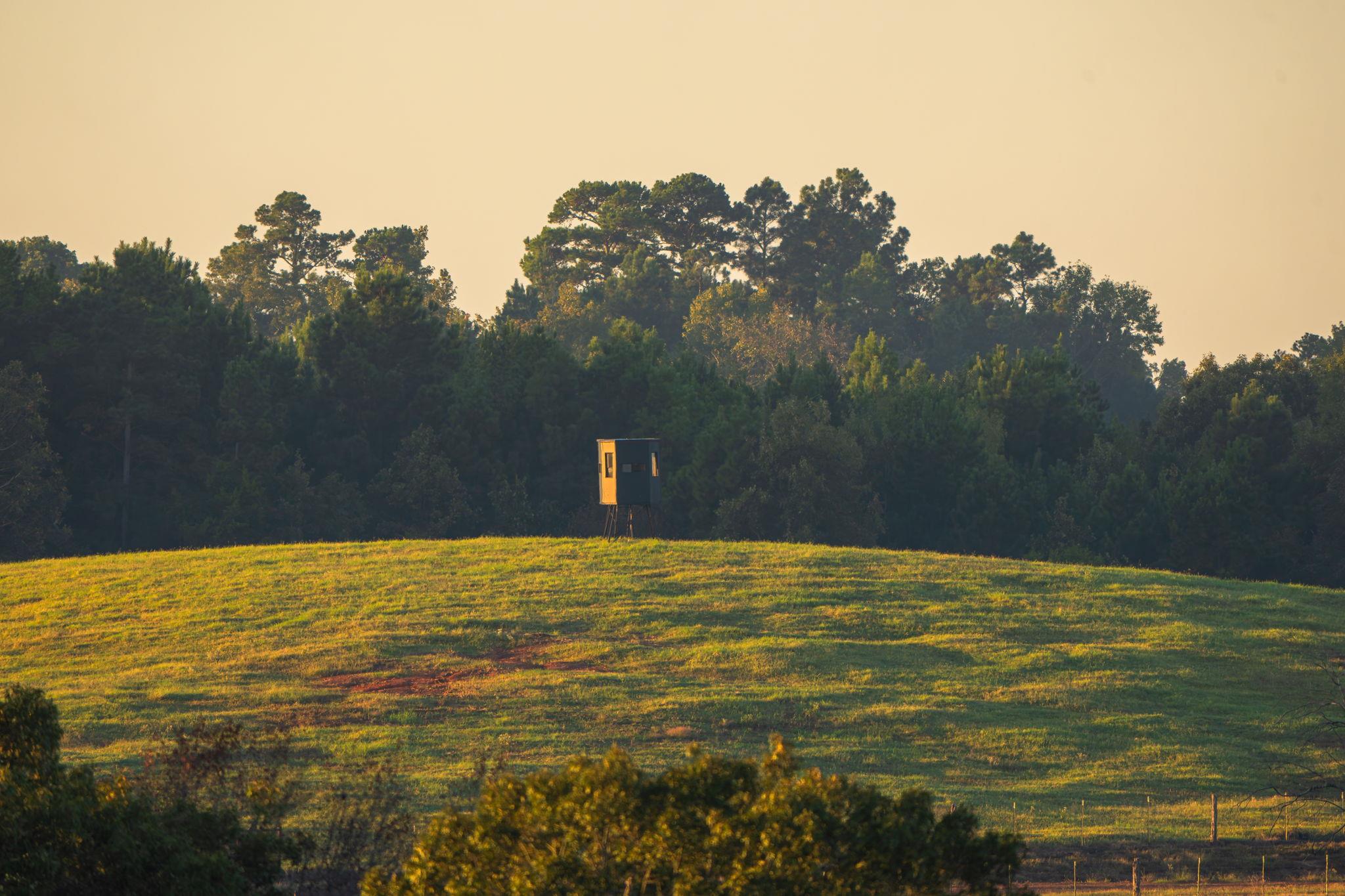 10326 County Road 3112 N, Tyler, TX 75662