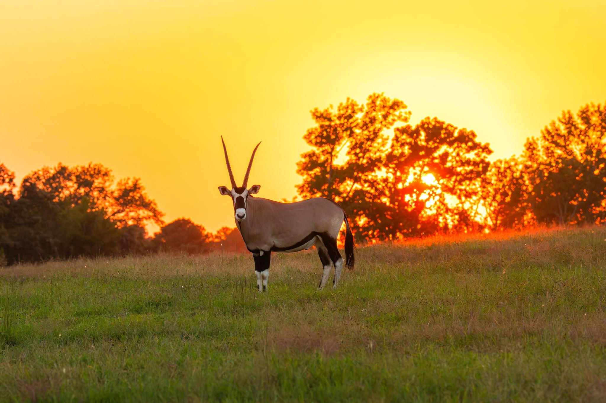 10326 County Road 3112 N, Tyler, TX 75662