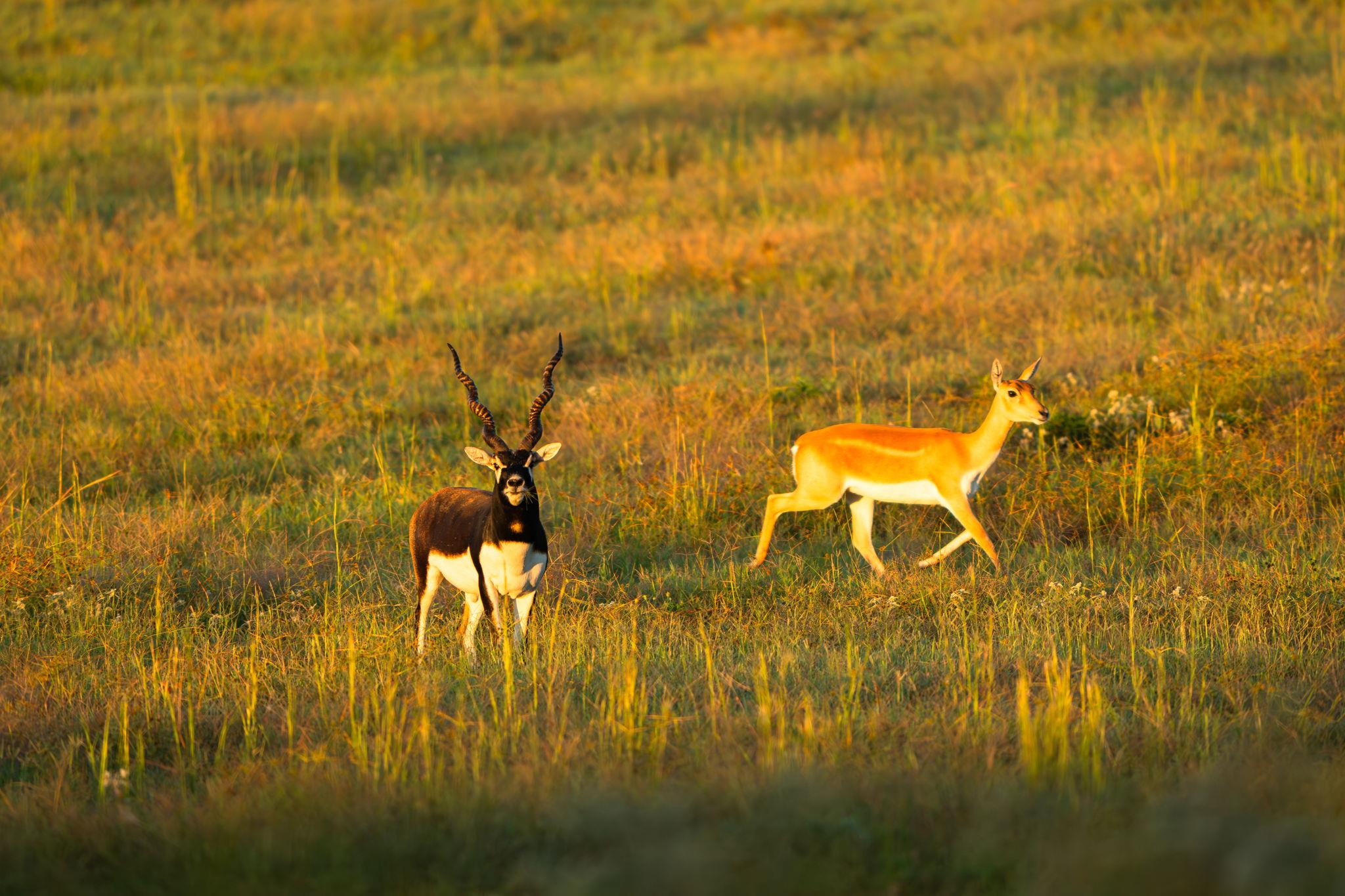 10326 County Road 3112 N, Tyler, TX 75662