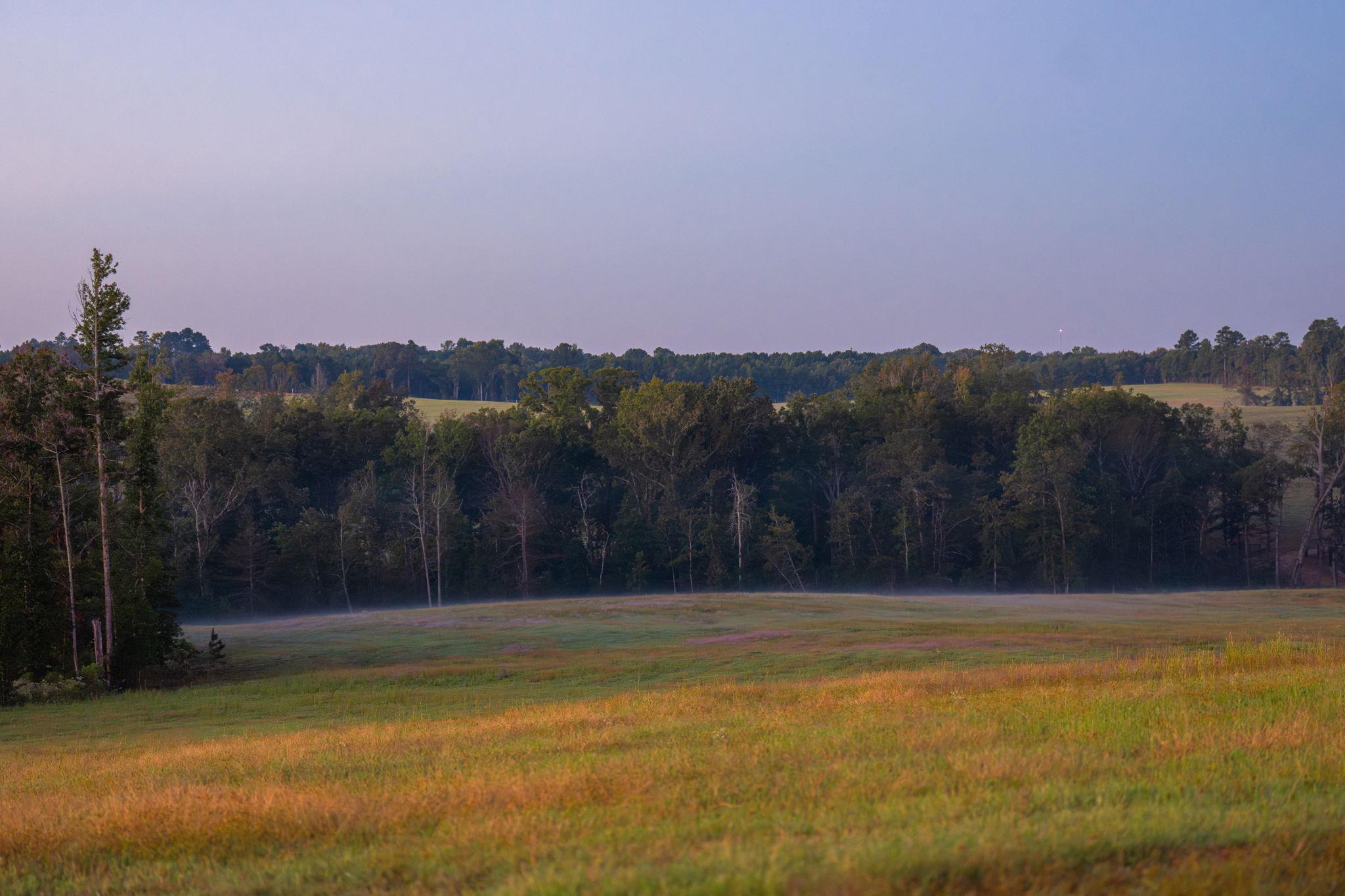 10326 County Road 3112 N, Tyler, TX 75662