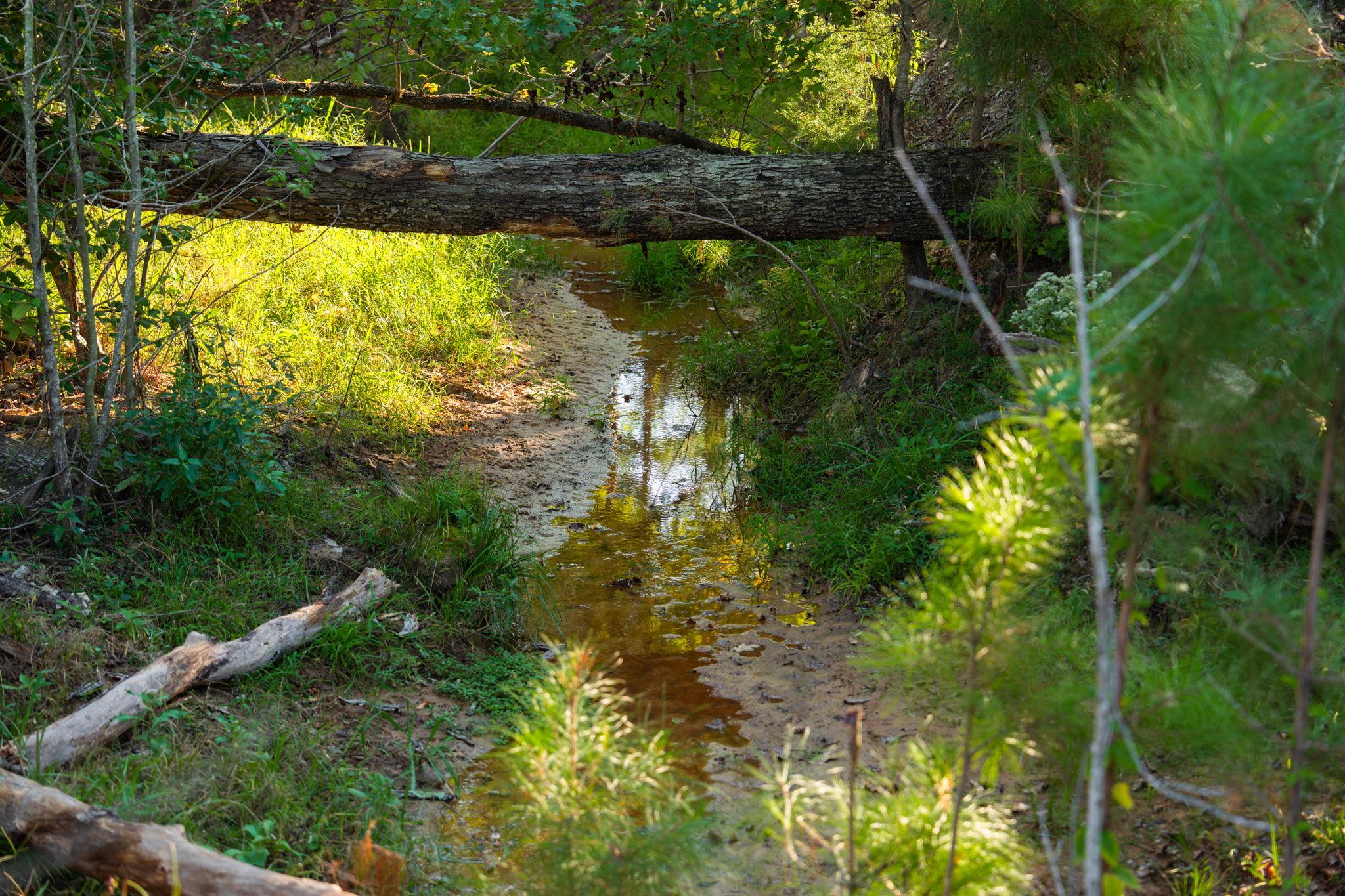 10326 County Road 3112 N, Tyler, TX 75662