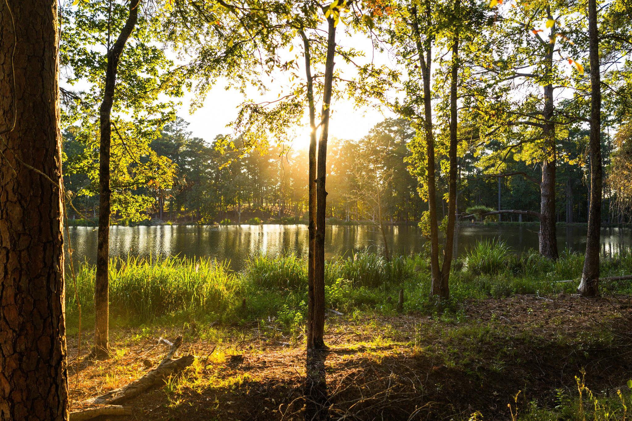 10326 County Road 3112 N, Tyler, TX 75662