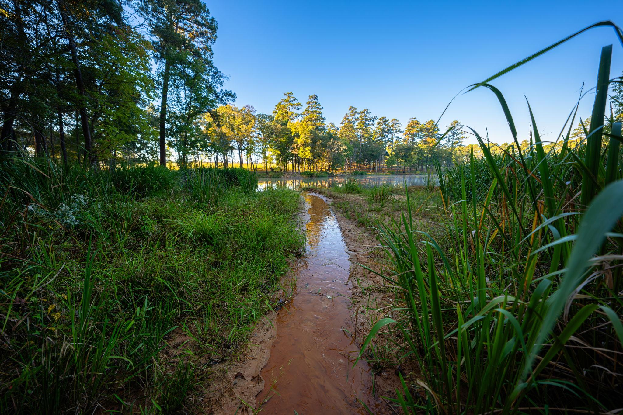 10326 County Road 3112 N, Tyler, TX 75662