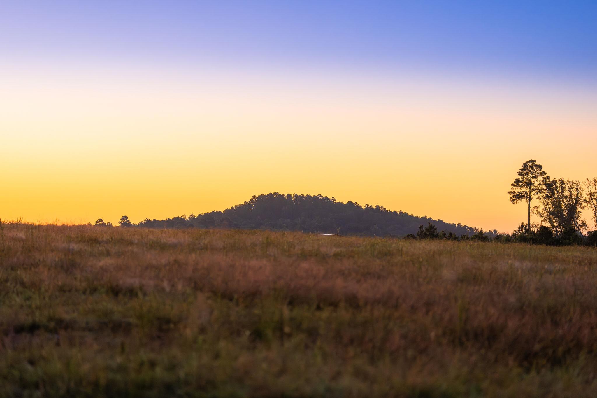 10326 County Road 3112 N, Tyler, TX 75662