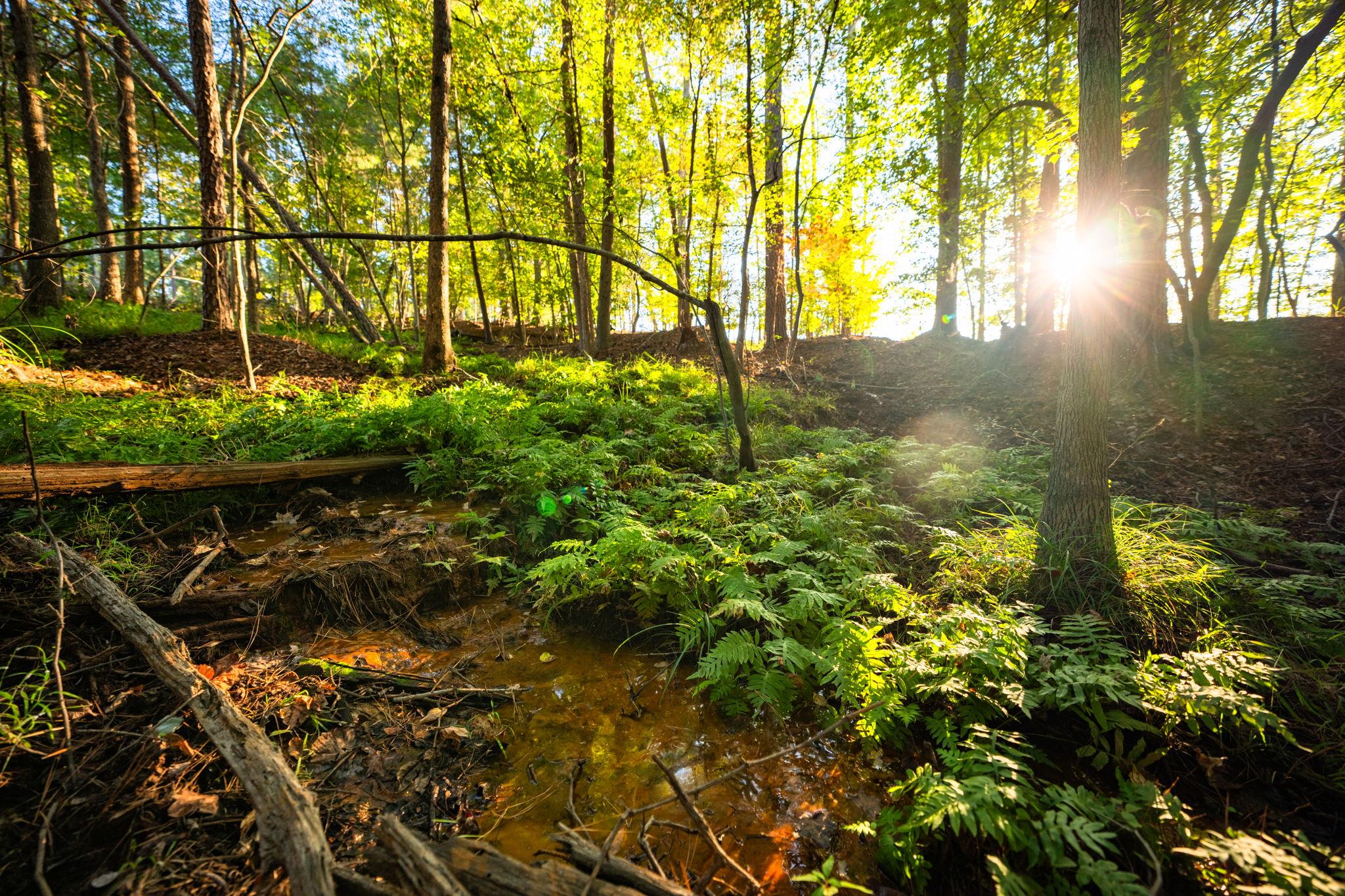 10326 County Road 3112 N, Tyler, TX 75662