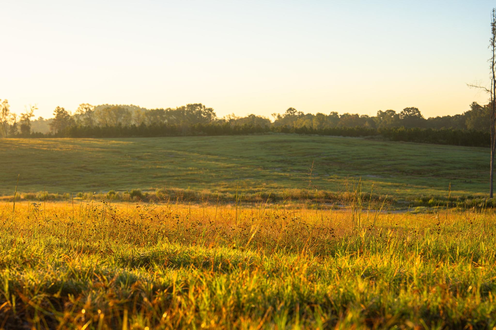 10326 County Road 3112 N, Tyler, TX 75662