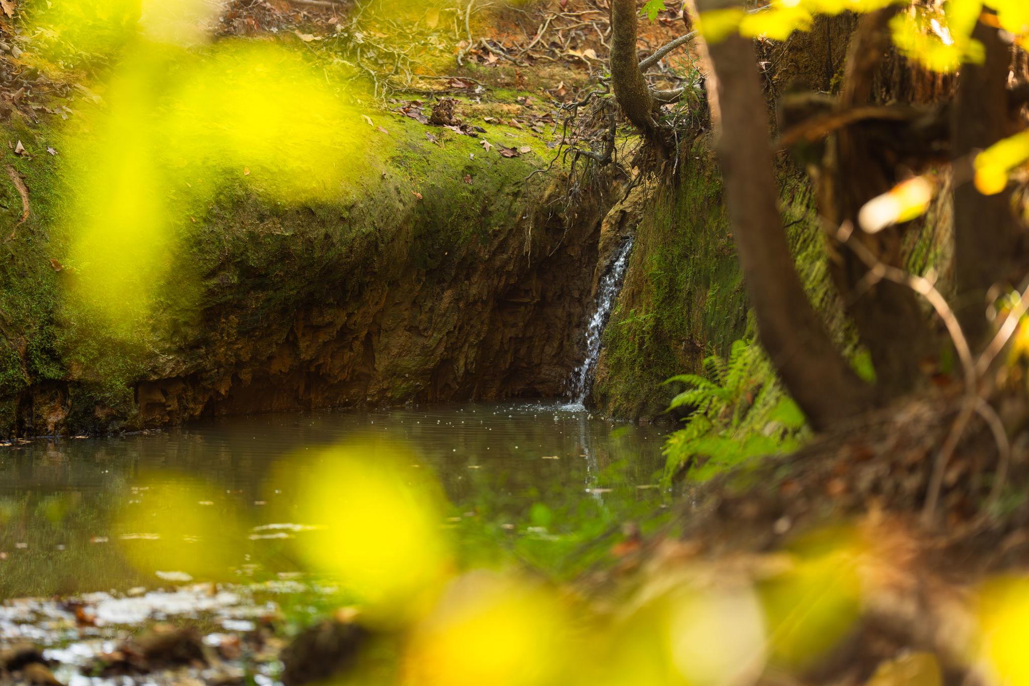 10326 County Road 3112 N, Tyler, TX 75662