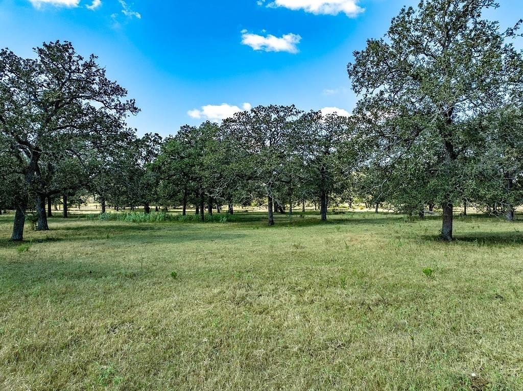 TBD O'QUINN BRANCH Rd, La Grange, TX 78945