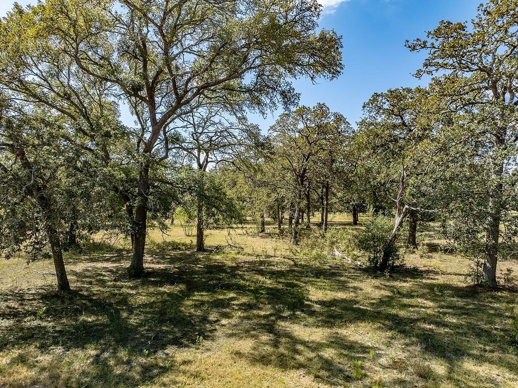 TBD O'QUINN BRANCH Rd, La Grange, TX 78945