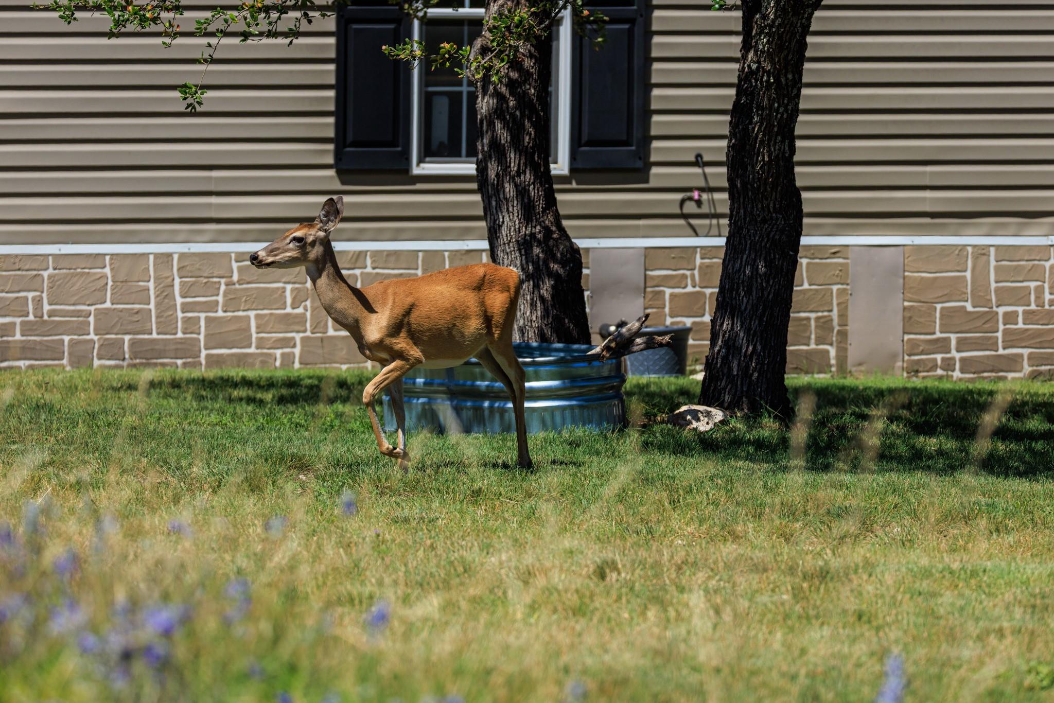 429 Spanish Oak Trl, Harper, TX 78631