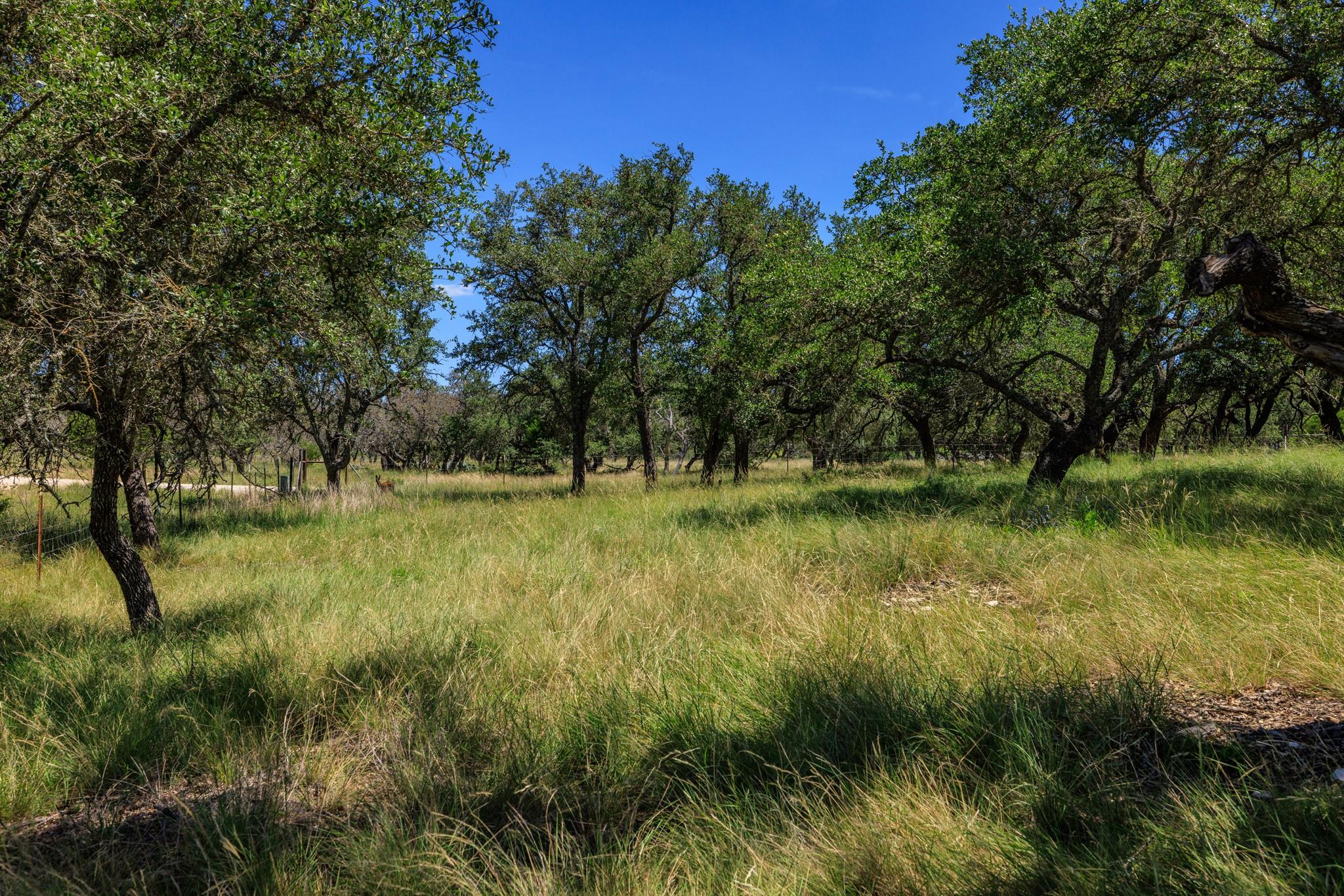 429 Spanish Oak Trl, Harper, TX 78631