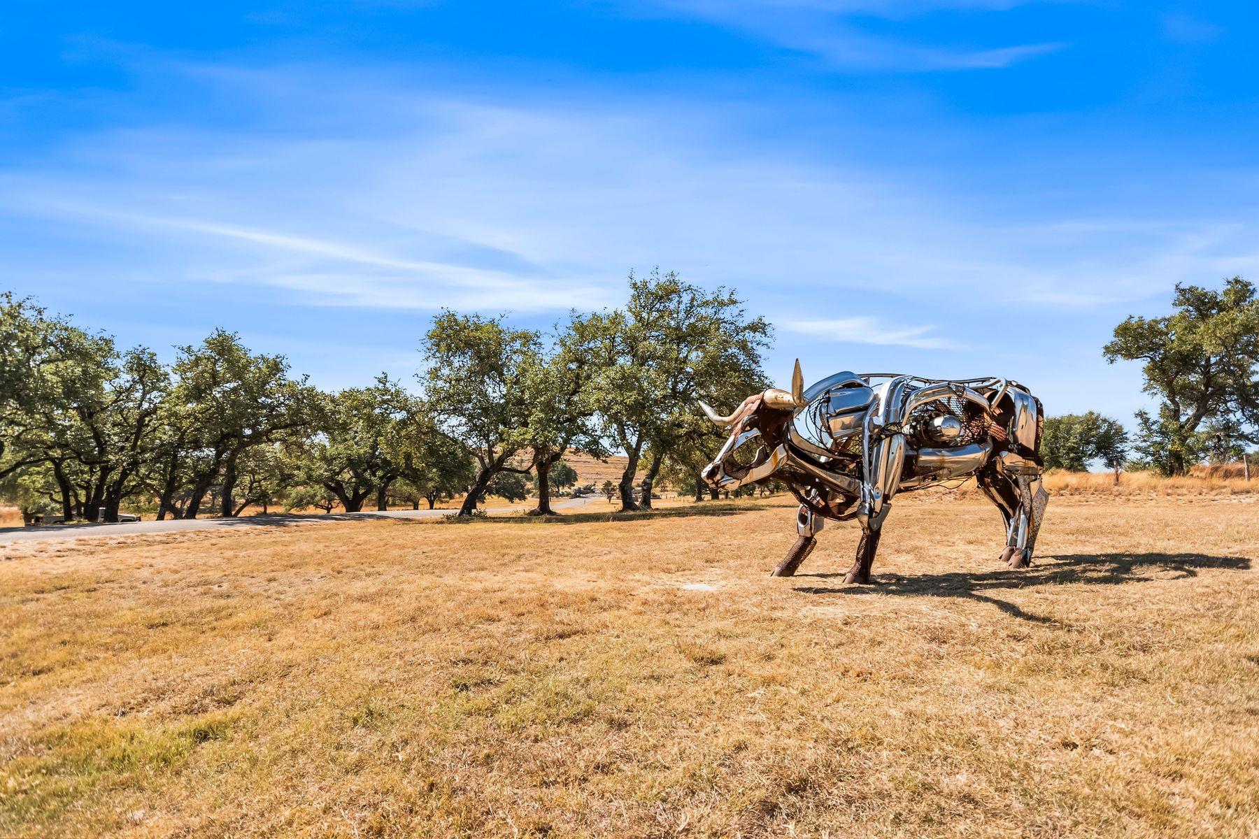 226 S Walnut Springs Rd, Johnson City, TX 78636