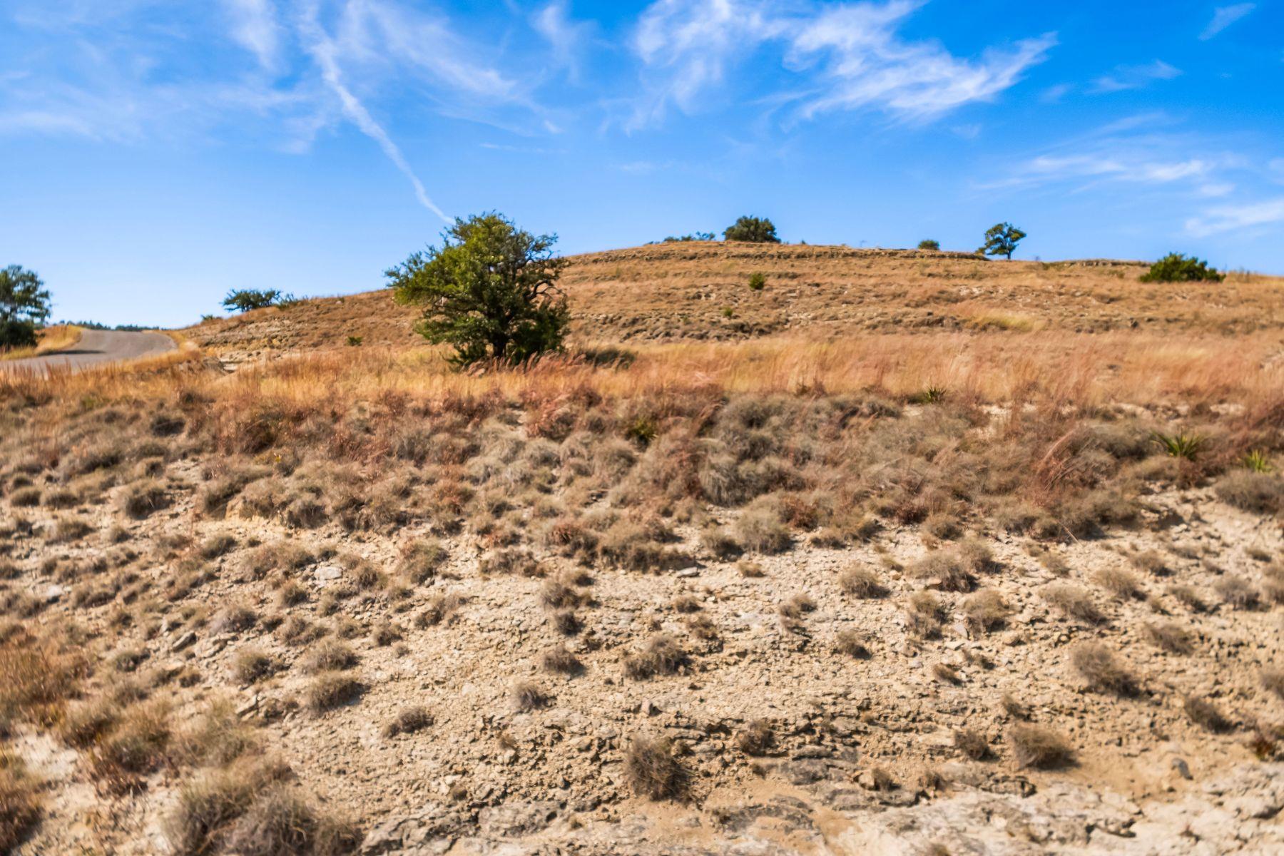 226 S Walnut Springs Rd, Johnson City, TX 78636