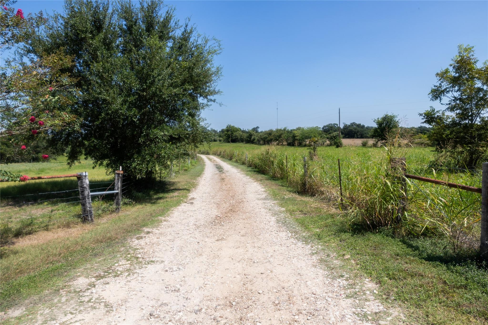 3225 Terrier Hill Ln, Brenham, TX 77833