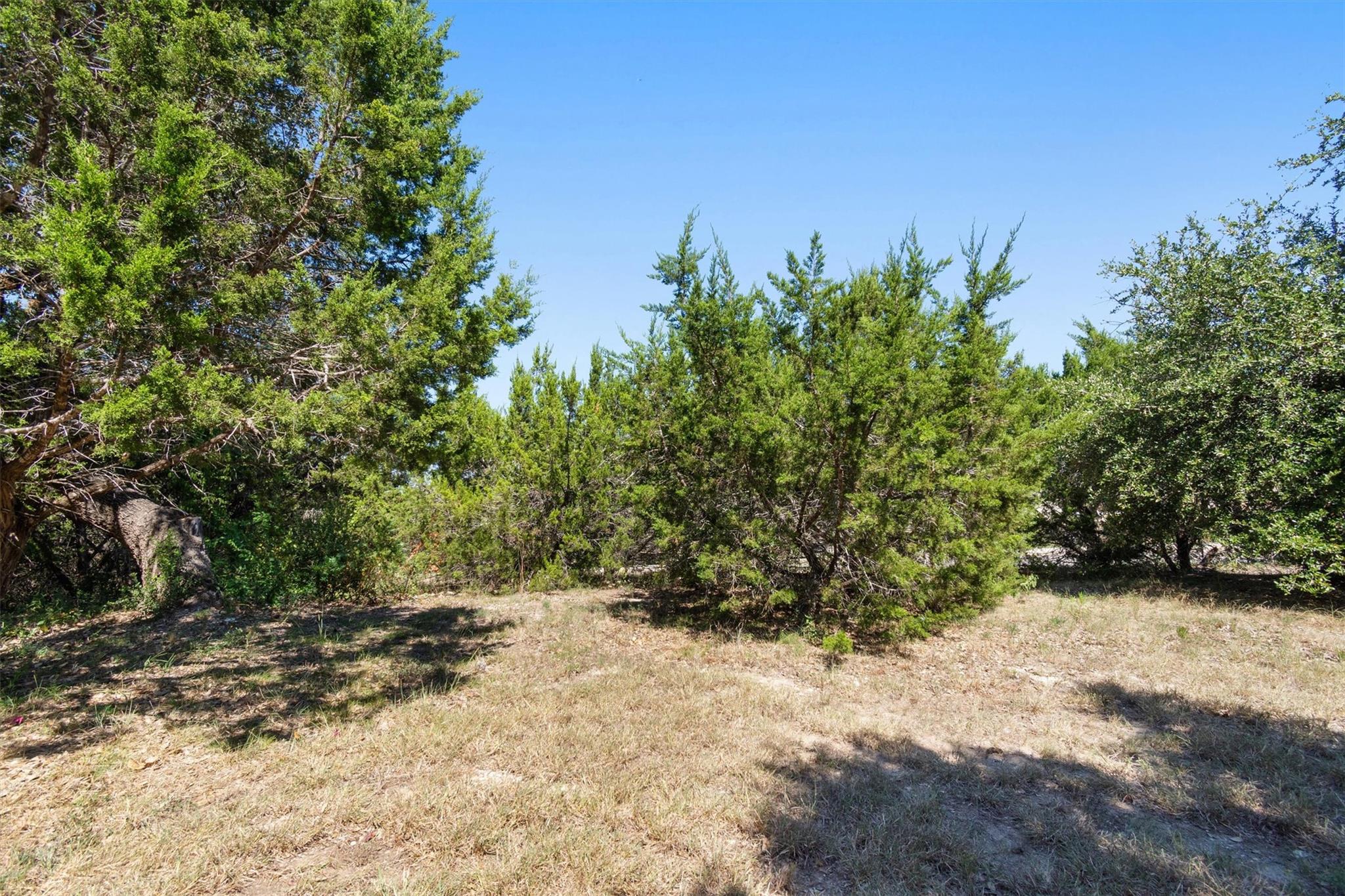 15225 Dave Dr, Austin, TX 78734