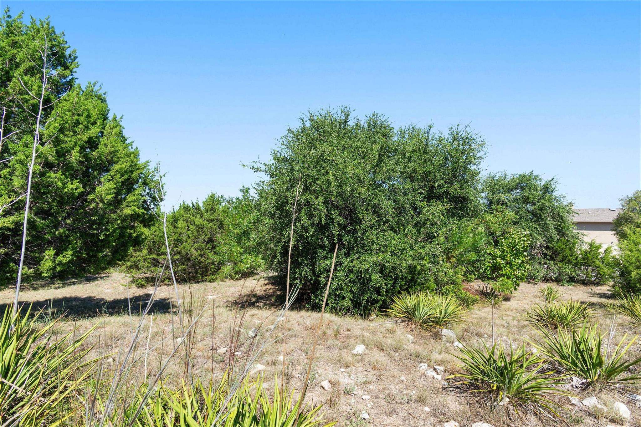 15225 Dave Dr, Austin, TX 78734