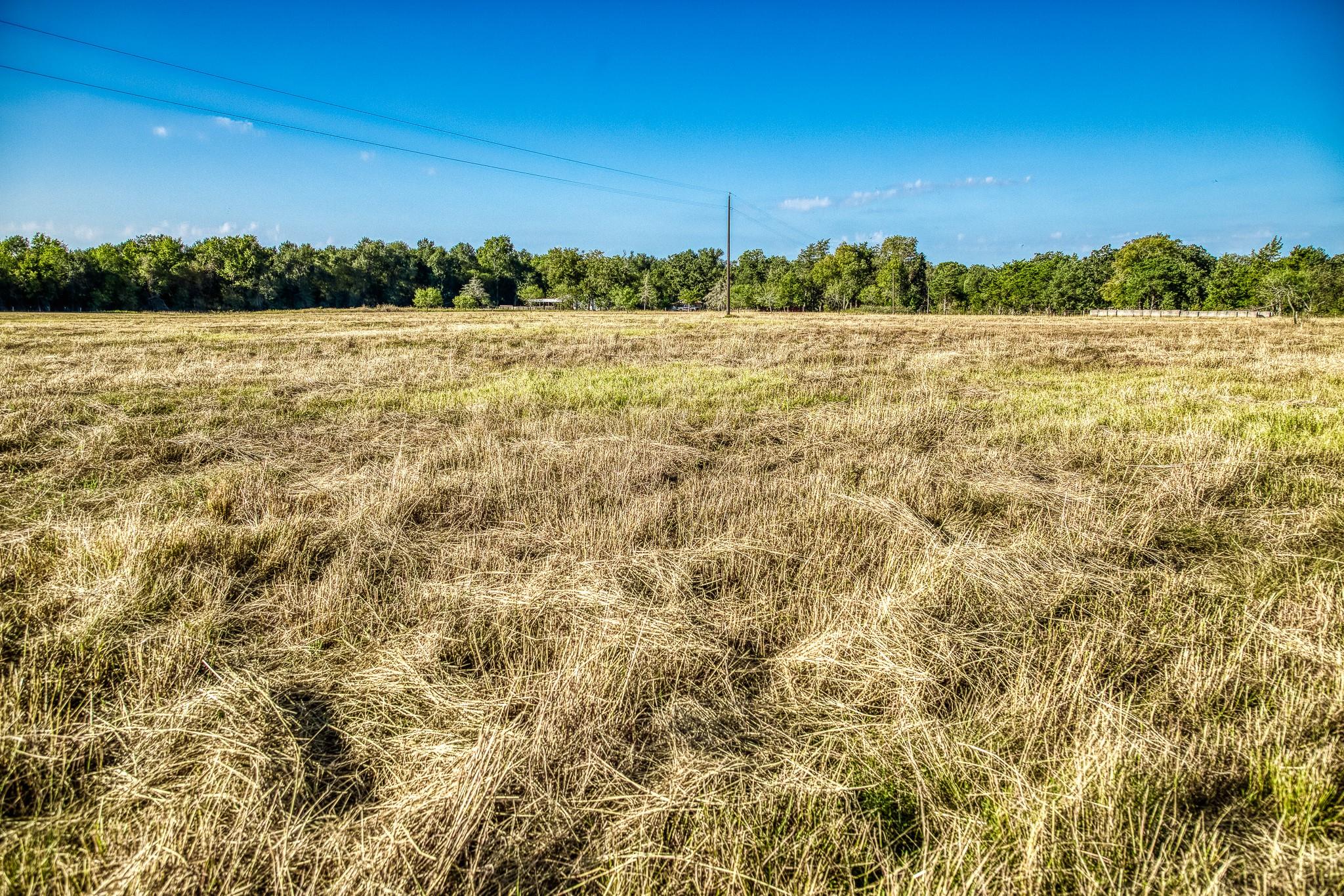 460 County Road 328, Caldwell, TX 77836