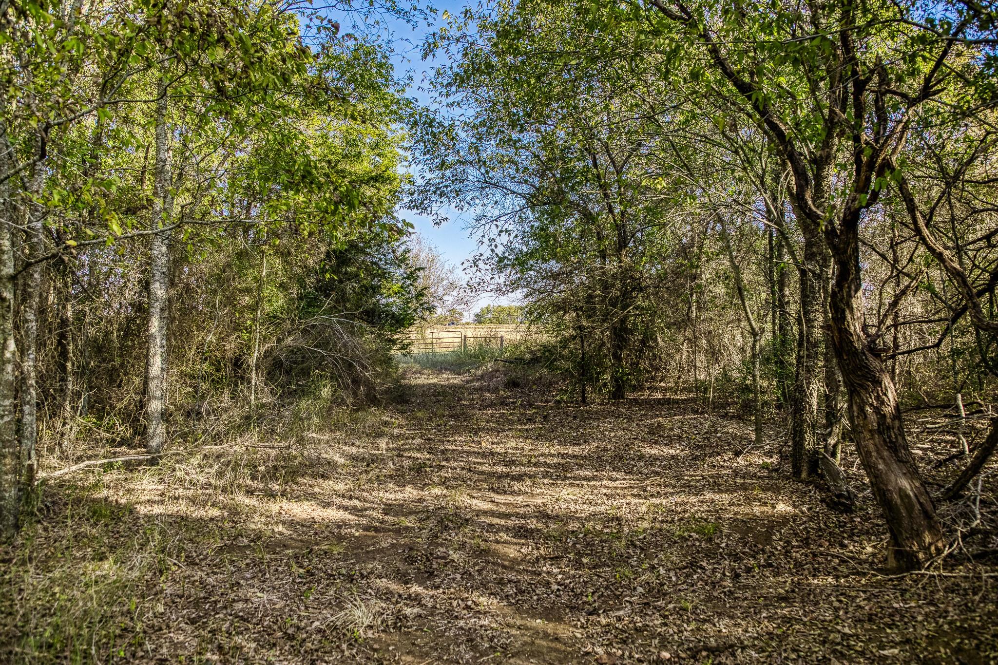 460 County Road 328, Caldwell, TX 77836