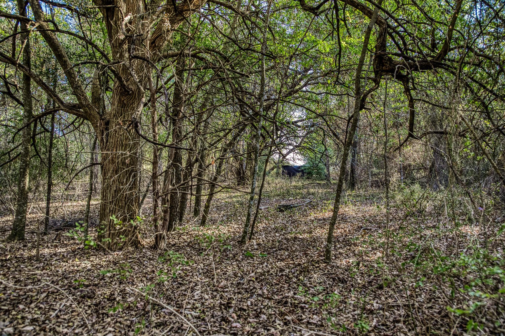 460 County Road 328, Caldwell, TX 77836