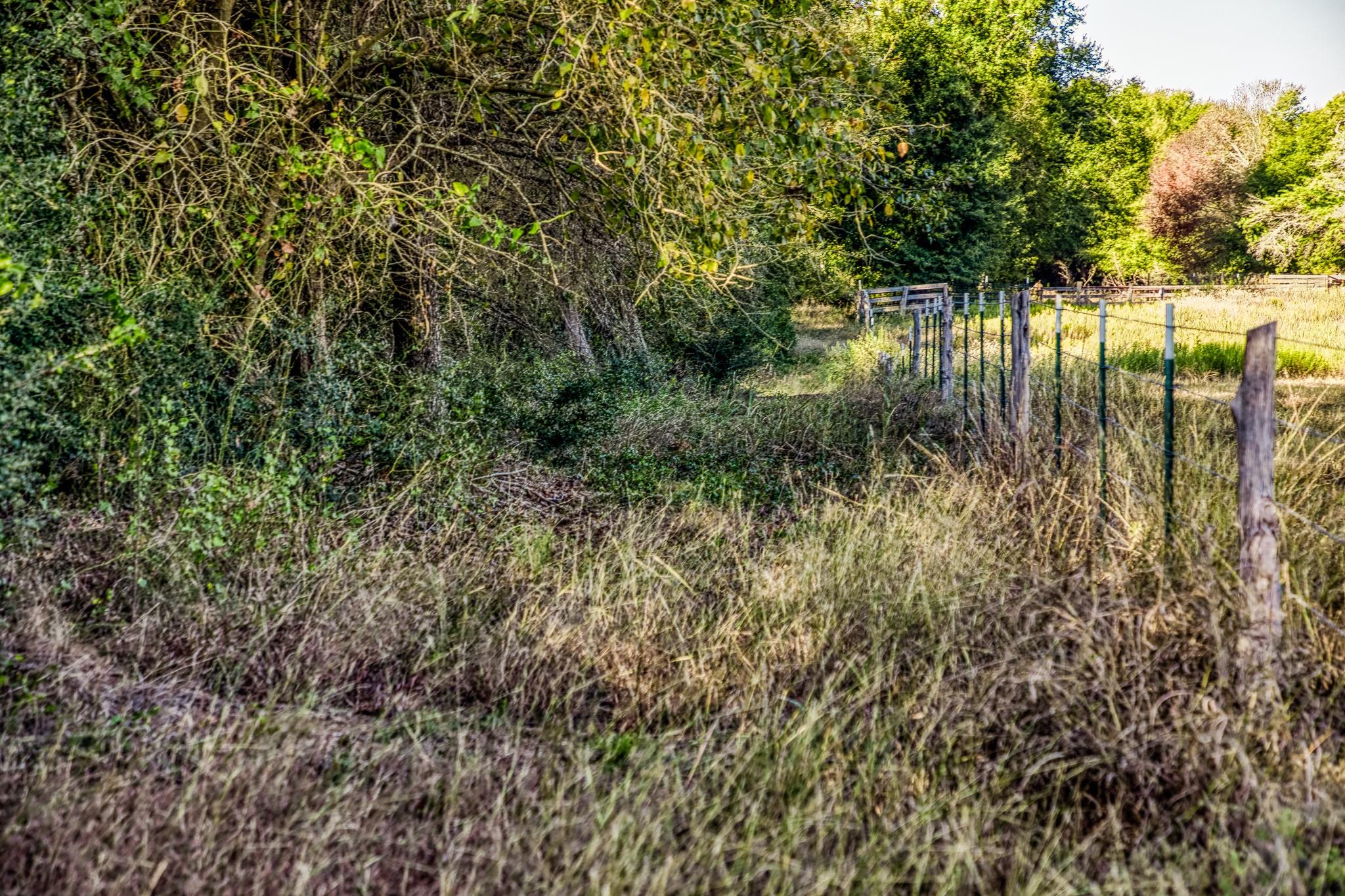 460 County Road 328, Caldwell, TX 77836