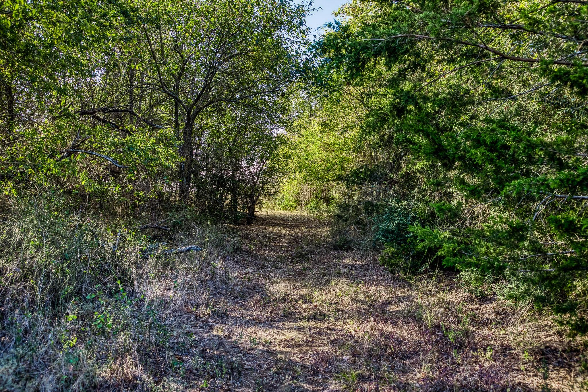 460 County Road 328, Caldwell, TX 77836