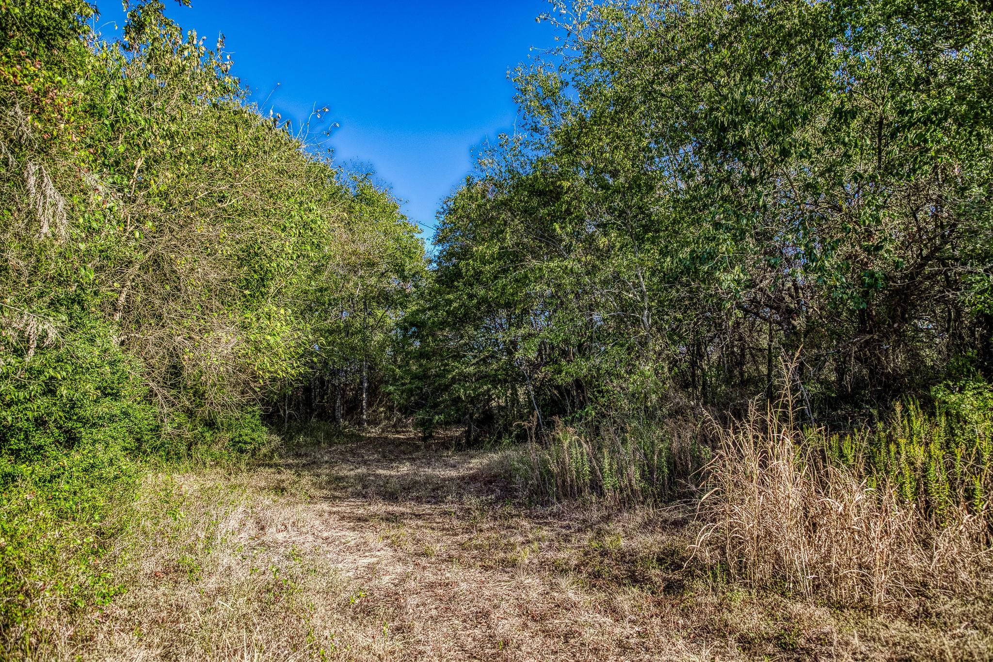 460 County Road 328, Caldwell, TX 77836