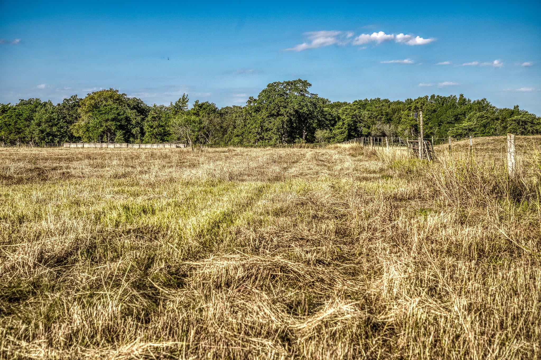 460 County Road 328, Caldwell, TX 77836