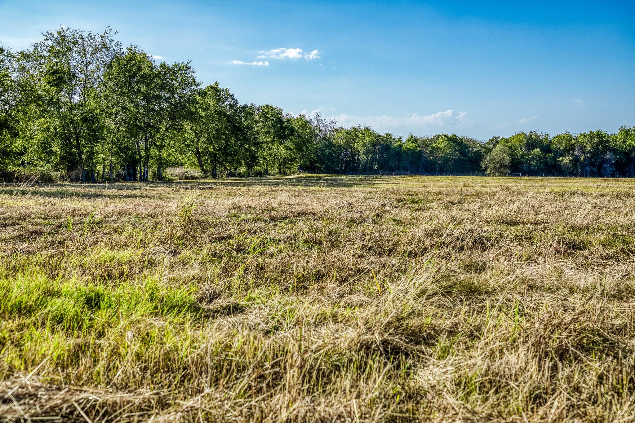 460 County Road 328, Caldwell, TX 77836