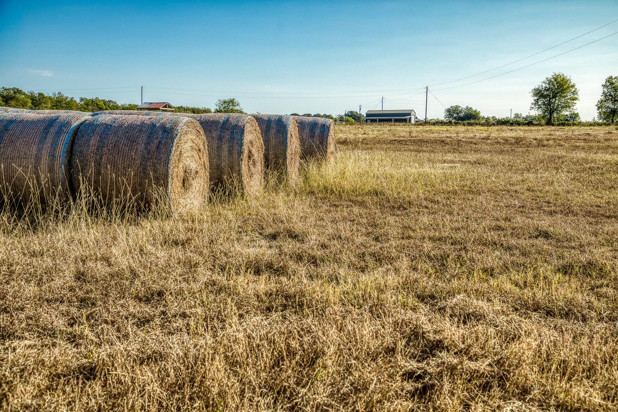 460 County Road 328, Caldwell, TX 77836