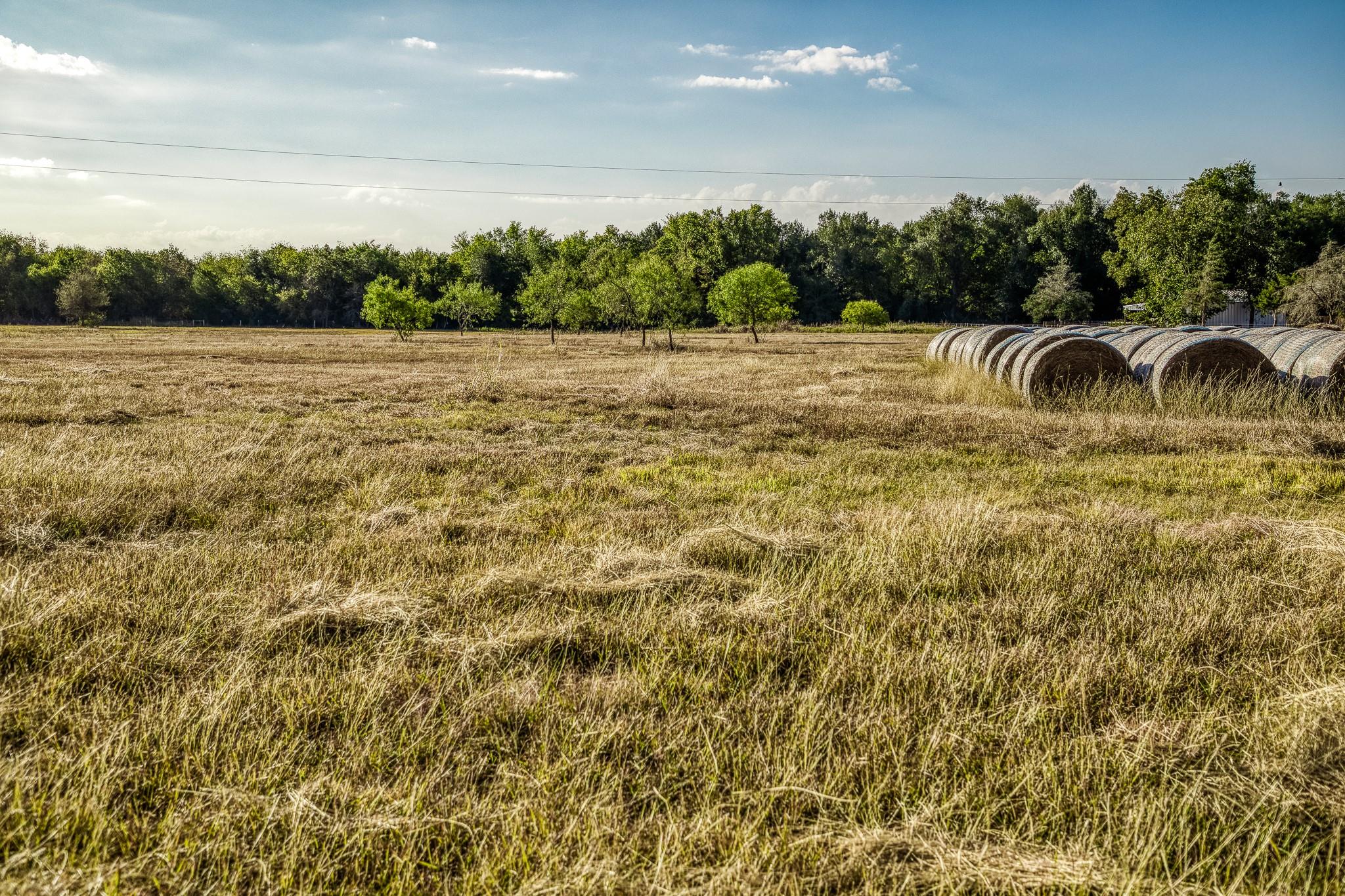 460 County Road 328, Caldwell, TX 77836