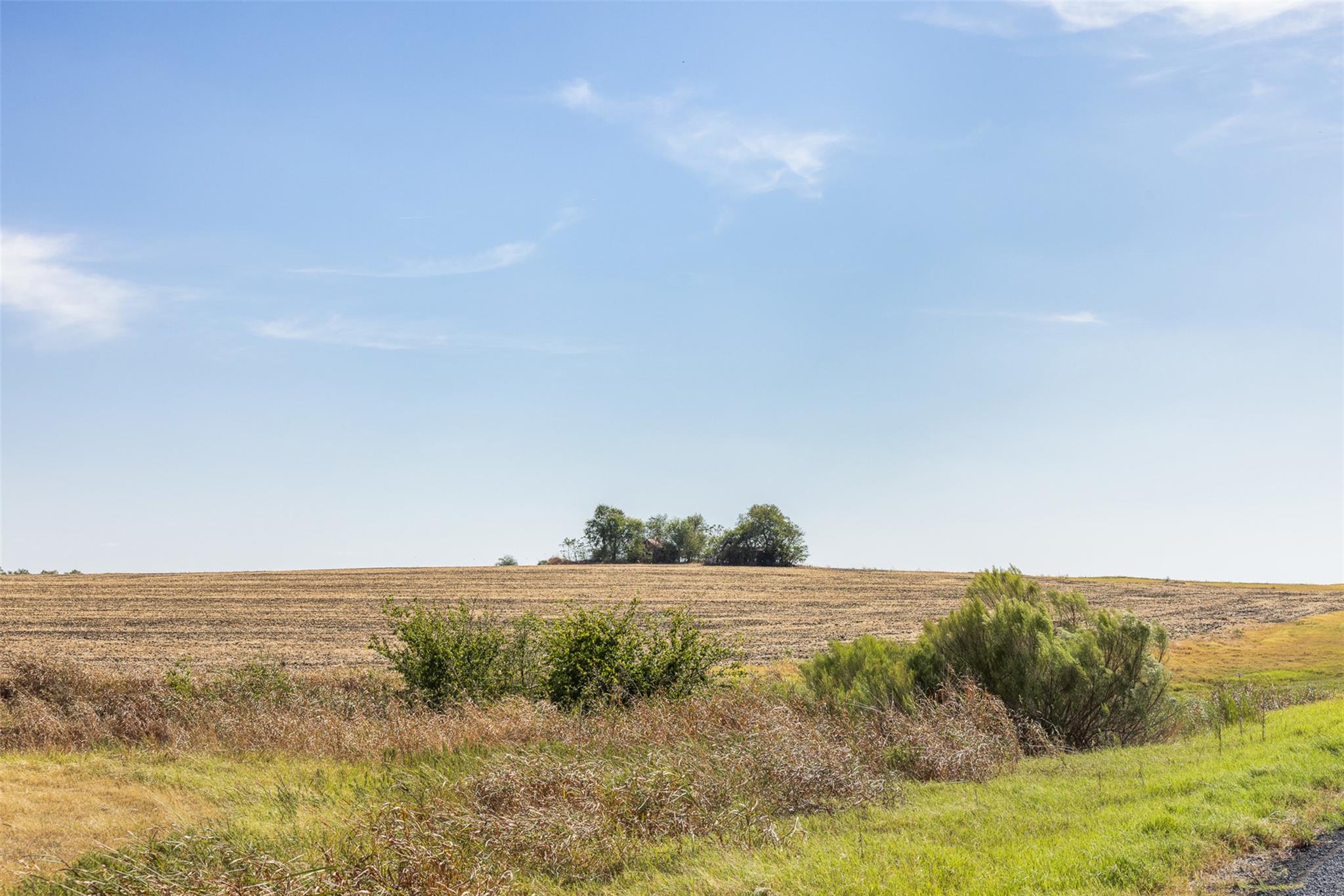 52.27 Acres County Road 301, Granger, TX 76530