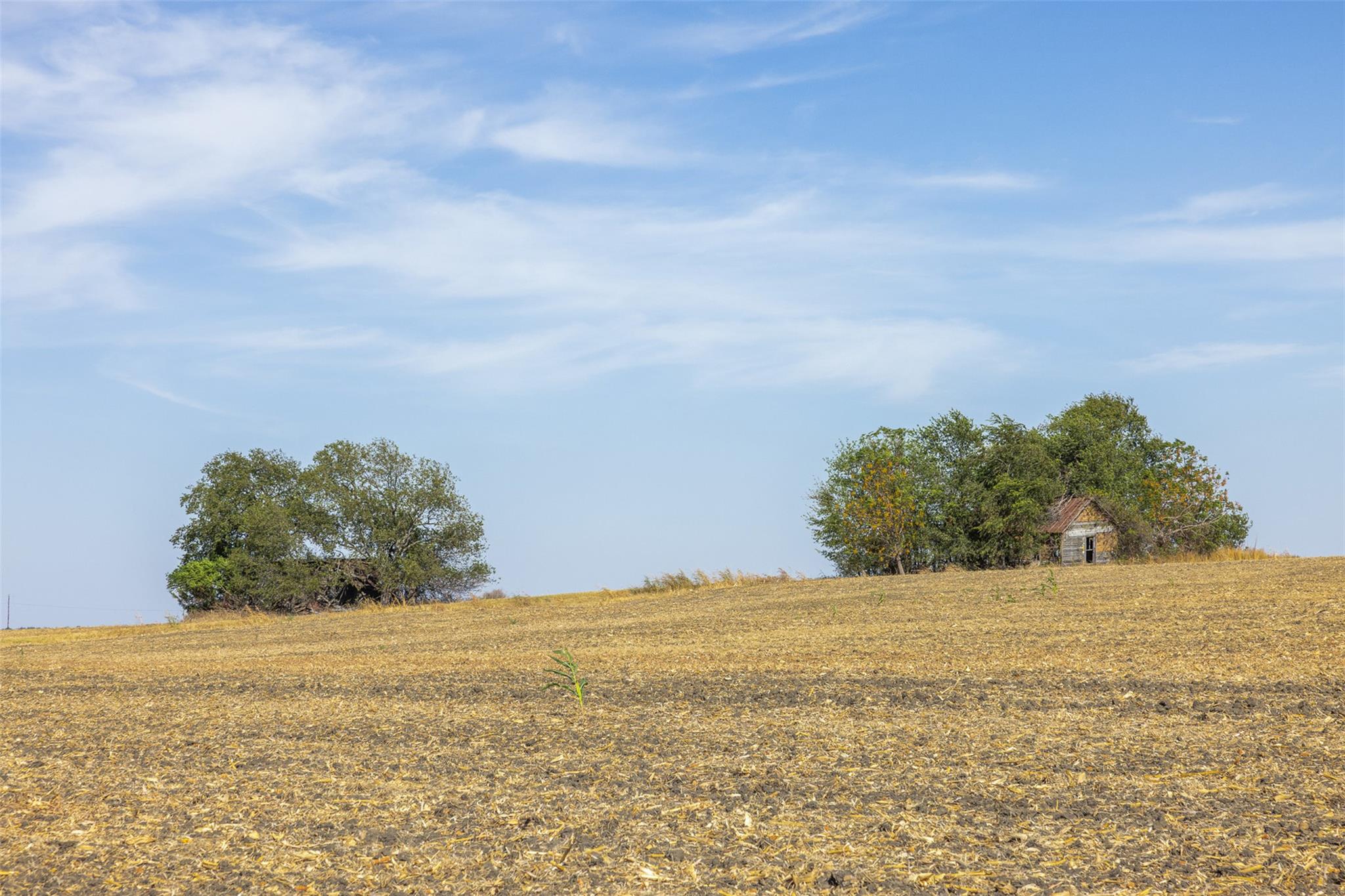 52.27 Acres County Road 301, Granger, TX 76530