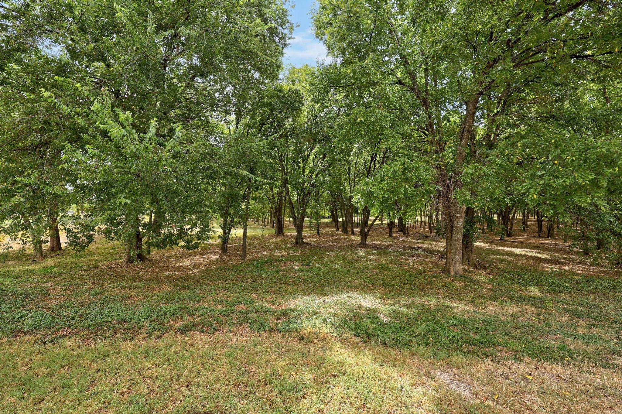 709 B Jane Austen Trl, Pflugerville, TX 78660