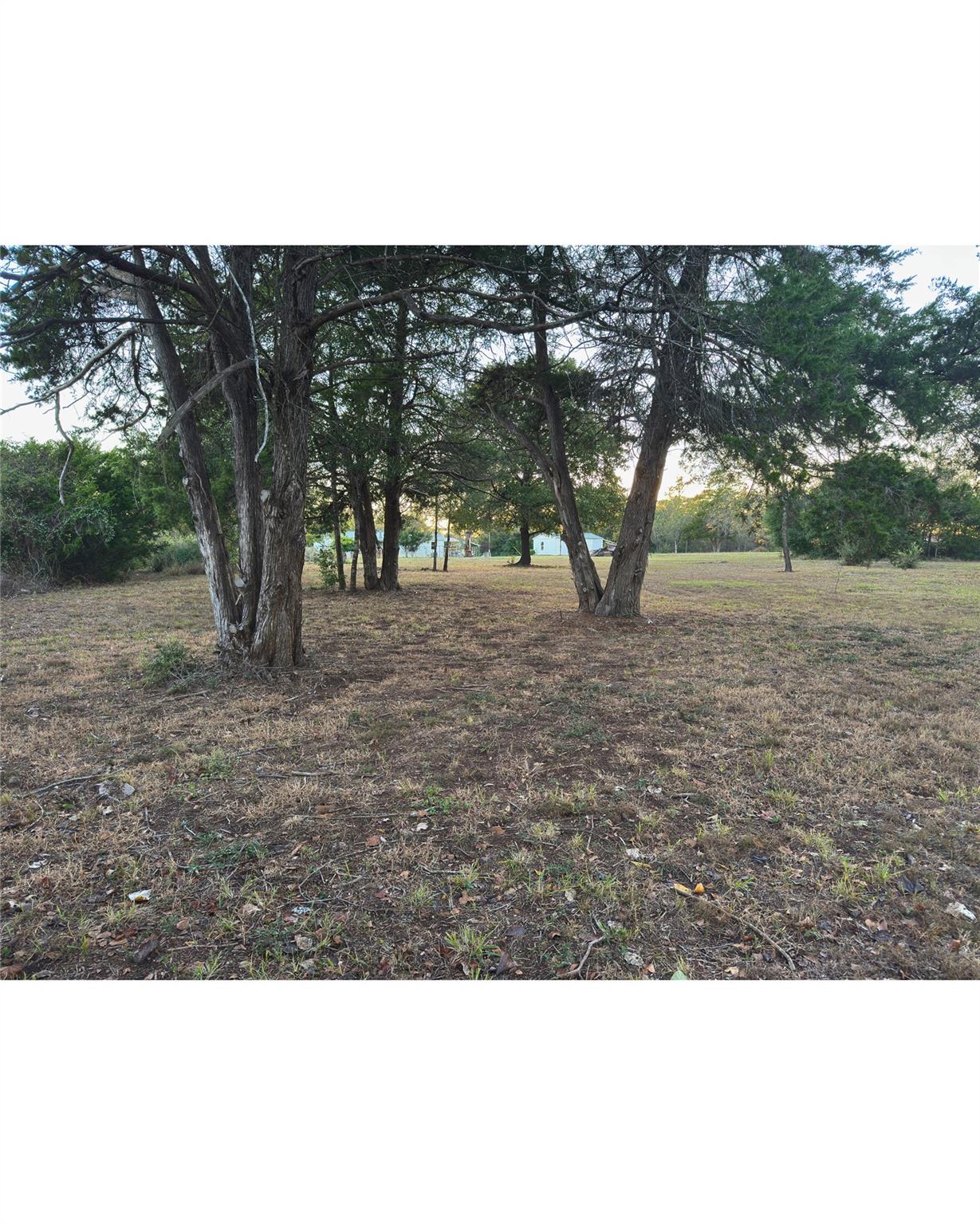 7862 FM 141, Dime Box, TX 77853