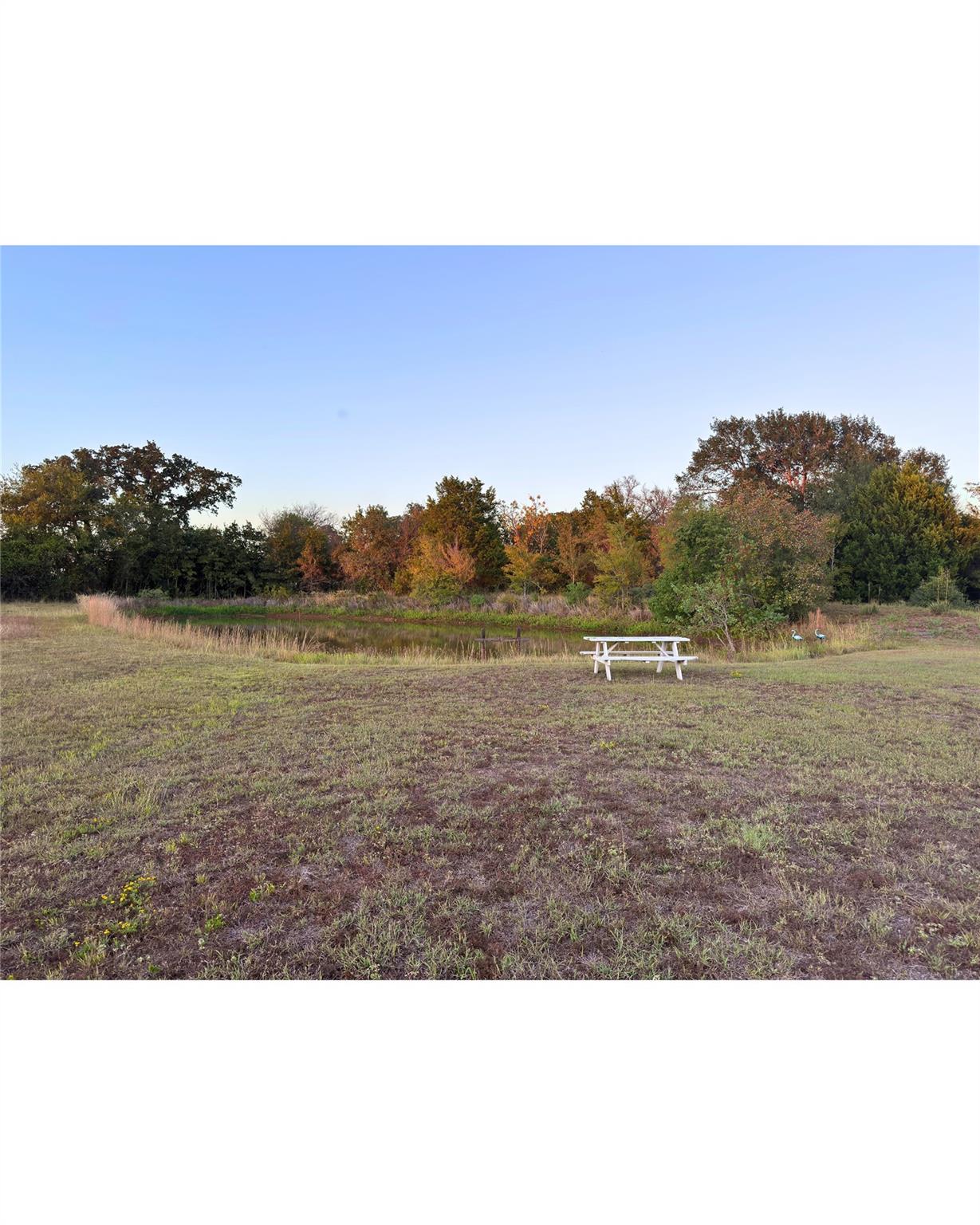 7862 FM 141, Dime Box, TX 77853