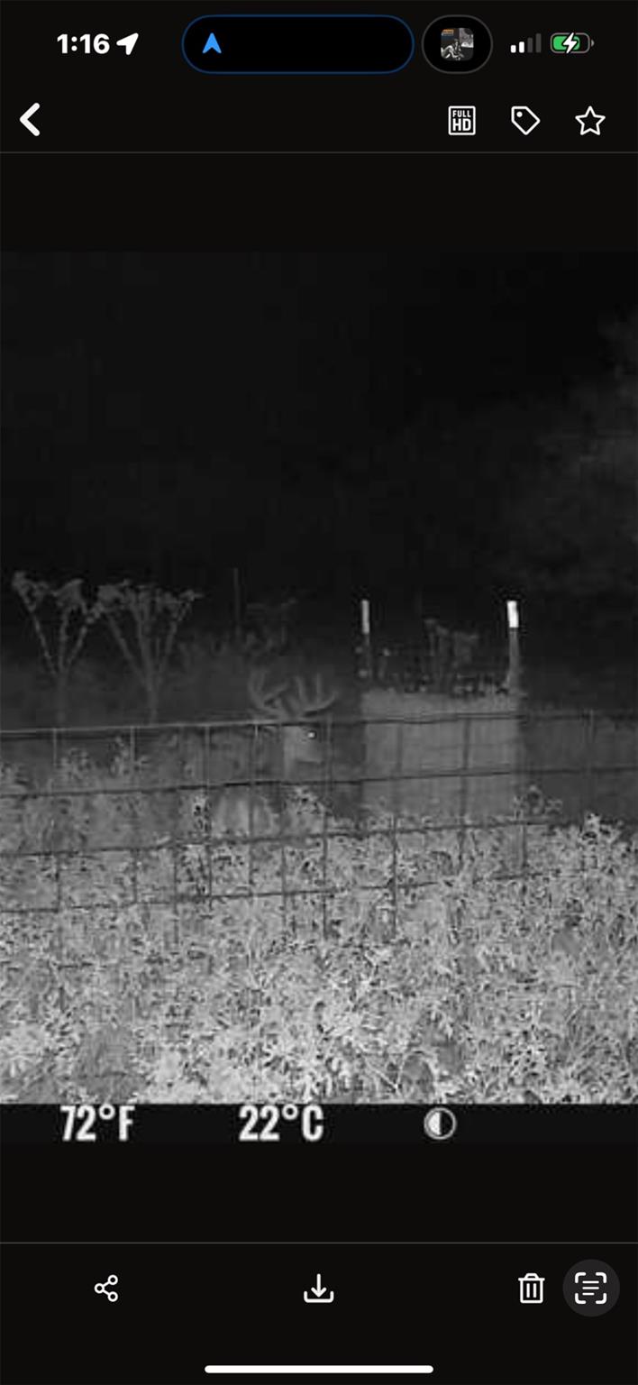 Tract 3 TBD CR 424, Rochelle, TX 76872